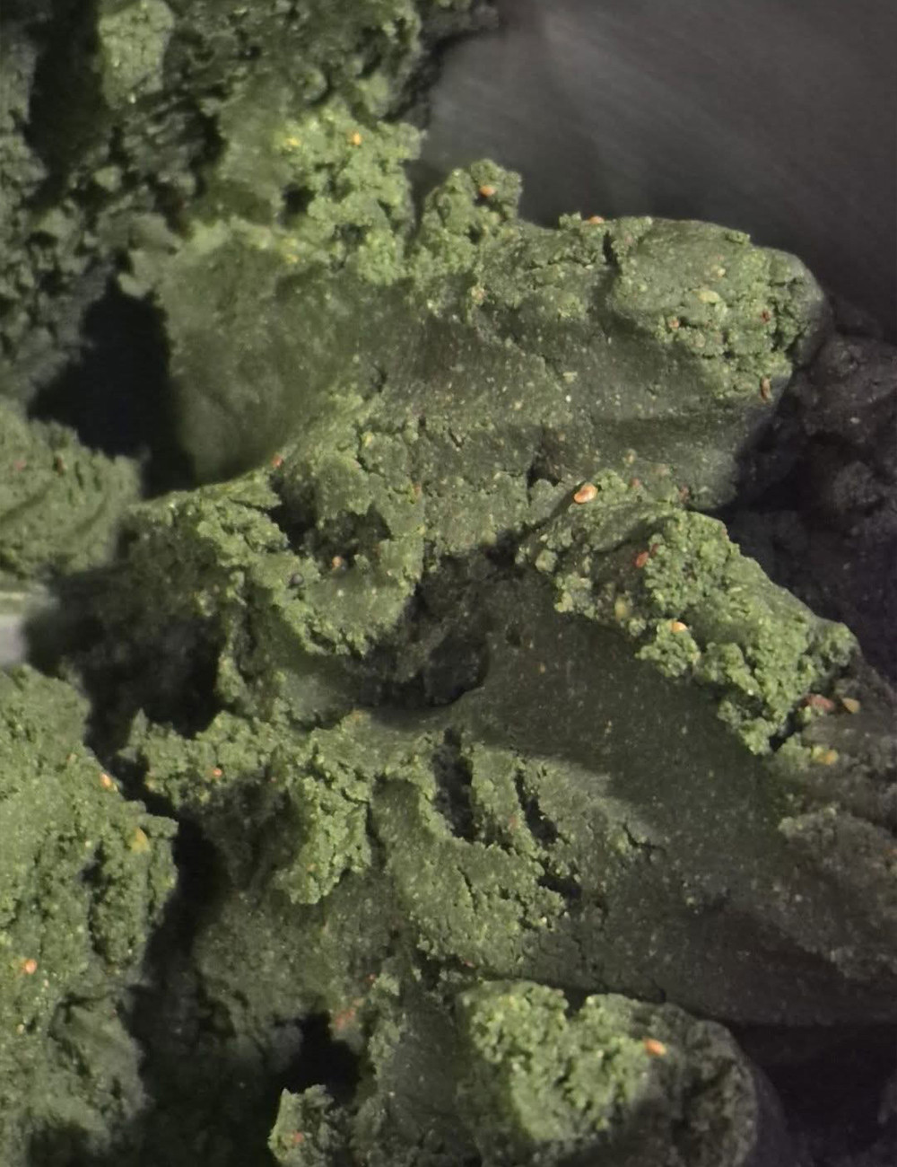 Hydro Mussel Green – Bouillette