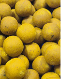 Hydro Scopex Lemon – Bouillette
