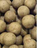 Hydro Creamy Nut – Bouillette