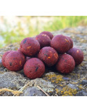 Hydro Spicy Fish – Bouillette