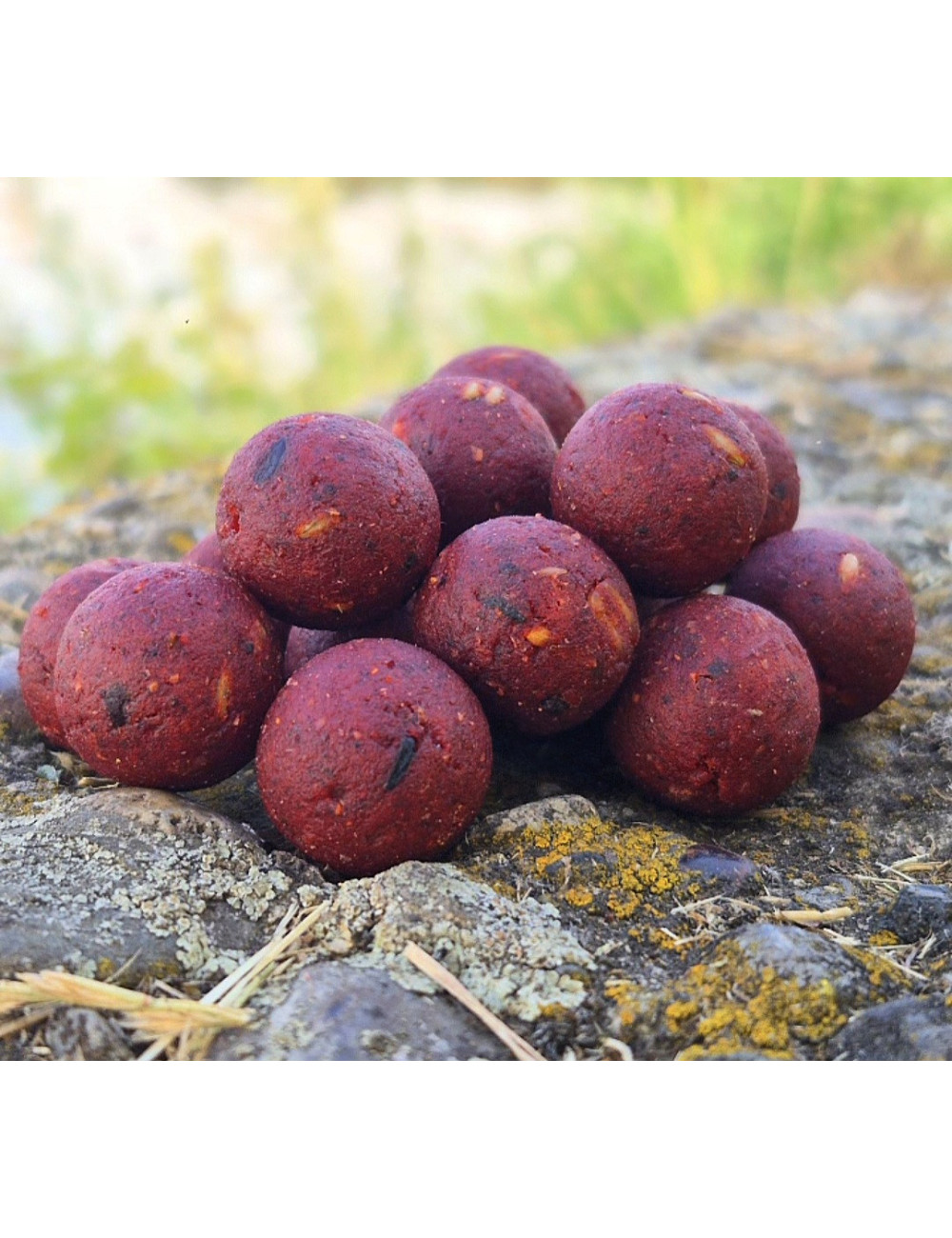 Hydro Spicy Fish – Bouillette