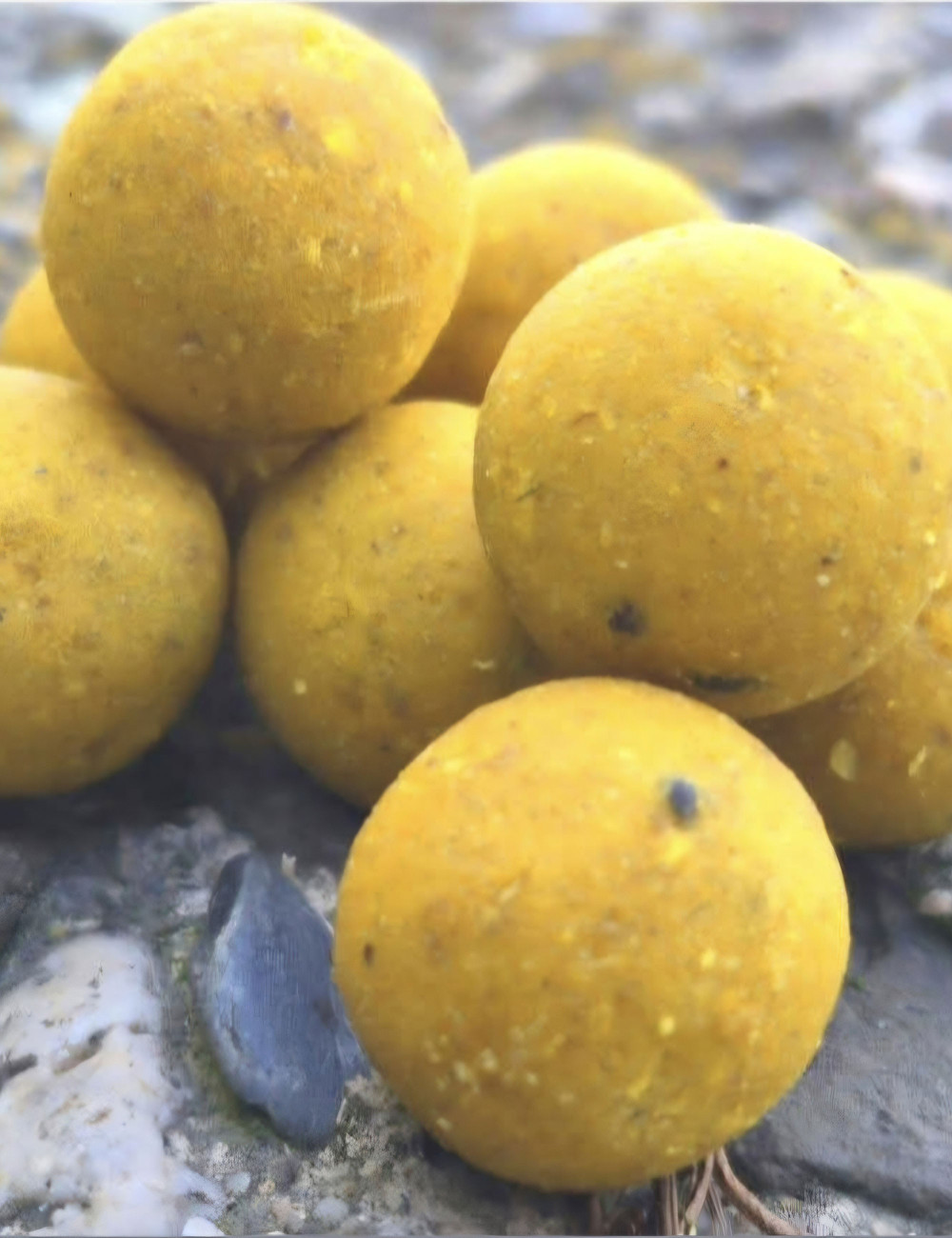Hydro Scopex Lemon – Bouillette