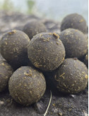 Hydro Mussel Green – Bouillette