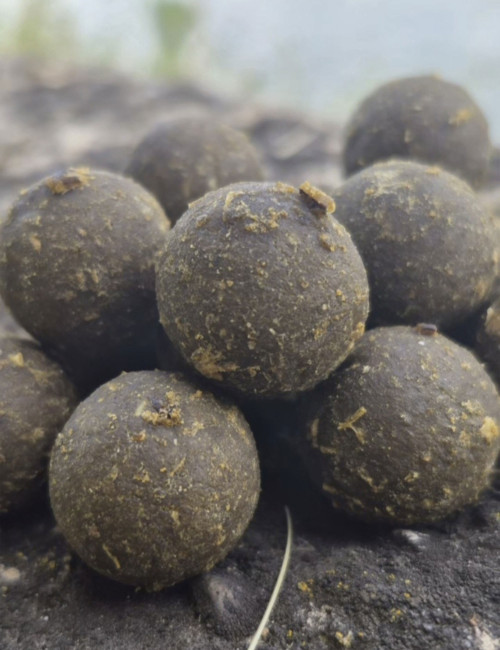 Hydro Mussel Green – Bouillette