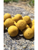 Hydro Scopex Lemon – Bouillette