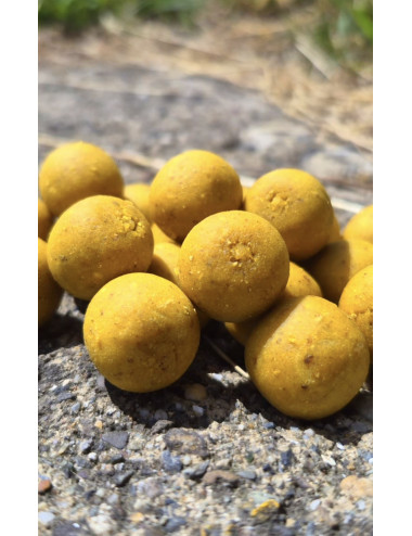 Hydro Scopex Lemon – Bouillette