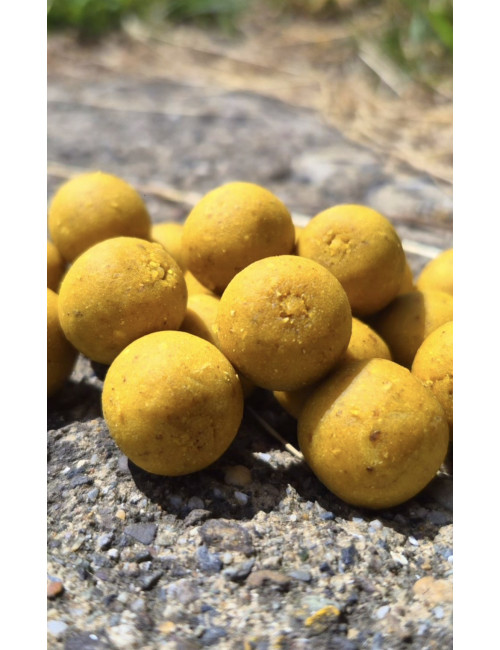 Hydro Scopex Lemon – Bouillette