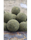 Hydro Mussel Green – Bouillette